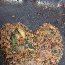 풍년가 생오리전문점 이미지