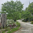 치악산둘레길 8코스 거북바우길 | [공지] 치악산둘레길 8코스 거북바우길