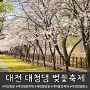 한국수자원공사 대청댐물문화관 | 대전 대청댐 벚꽃 개화 현황, 대덕물빛축제 아이들 놀거리 핑크모래놀이터