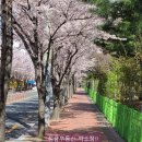 정금부동산공인중개사사무소 이미지