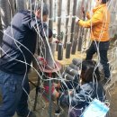 이배농장 이미지