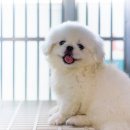 다진메디칼 이미지