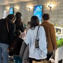 아이엔유 이미지