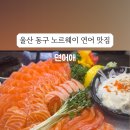 연어애 이미지