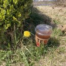 세종호수공원 제1주차장 이미지