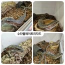 와우펫앤쥬(기장점) 이미지