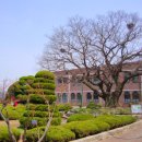 생림중학교 이미지