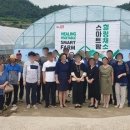 신안지역자활센터 - 신안군 압해로 876-22 | 신안지역자활센터