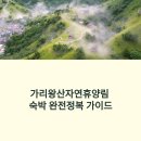 가리왕산 휴양림 | 가리왕산자연휴양림 숙박 완전정복: 숲속의집부터 캠핑 데크까지