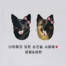 라움동물병원 이미지