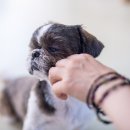 순이커피