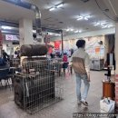 늘푸른한우농장