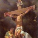 사도교회 앞 이미지