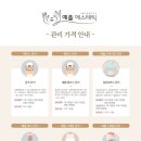 예플에스테틱