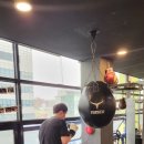 스타복싱클럽 이미지