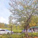 너나들이캠핑장 | 인천대공원 너나들이 캠핑장 _ 자가텐트존 (비추하는 적나라한 이유)