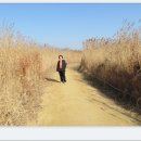 충화 팔충사 이미지