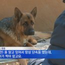 화들짝
