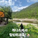 송이도친환경가족펜션 | 양양 숲속 계곡 앞 가족 펜션, 캐디스펜션