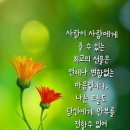 내인생의 봄날 이미지