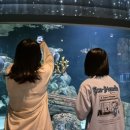 엑스포로2(서) 이미지