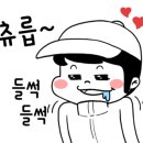 제트카서비스 이미지