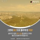 11월 10일(목) 오늘은 '이태원'과 관련된 이야기 이미지