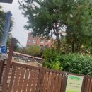 행운동-13 이미지