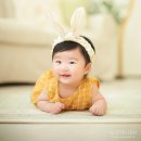 베이비스튜디오위드 이미지