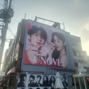 [어노브] 헤어퍼퓸 미스트 팝업 방문 사랑스러운 로지아우라 시향 후기