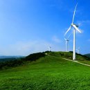 하늘목장 이미지