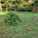 멍석 민박 이미지