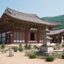 순천-20호 이미지