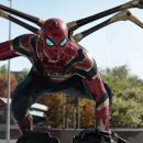 닥터스테리 이미지