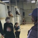 세종승마클럽 이미지