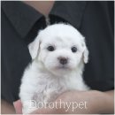 몽글몽글 이미지