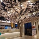 BOB 피시방 이미지