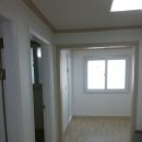 팬더아파트 이미지