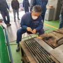 조경기능사(야간) | [전기,승강기, 에너지,용접,공조] 지방에서 실기시험 준비하기(25.11.10.)