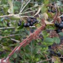 운향농장 이미지