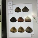 컬러를채우다 네이버블로그