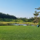 다산베아채골프앤리조트 이미지