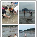 갯벌옥소금