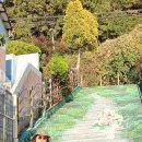 부산 (용궁구름다리)(흰여울문화마을) 이미지