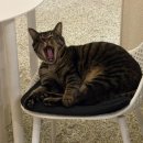 율전로63번길 이미지