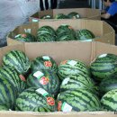 농업회사법인 합천유통(주) 이미지