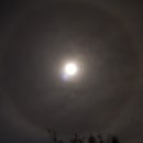 달무리목장 이미지