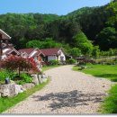 라스텔라편백숲 이미지