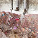 기업농장 이미지