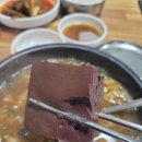 덕산의원 | 예산군 덕산온천 근처 줄서는 유명한 해장국 맛집 [뜨끈이집] 방문 솔직 후기!!